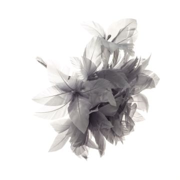 Grey Squirrel Feather Flower