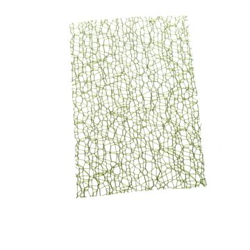 Leaf Green Crispy Mesh 70mm