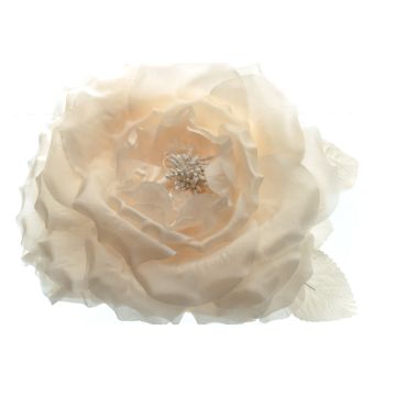 Shell Silk Rose