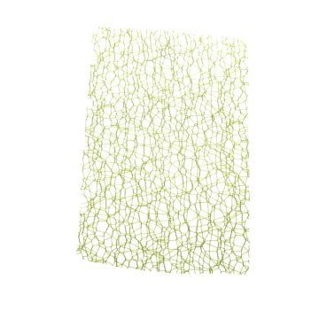 Lime Crispy Mesh 70mm