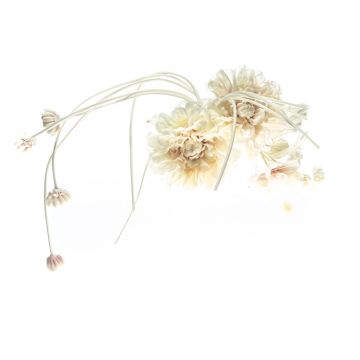 Oyster Shell Organdy Flower