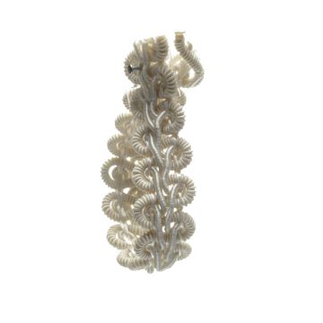 Oyster Shell Scroll Braid (D)