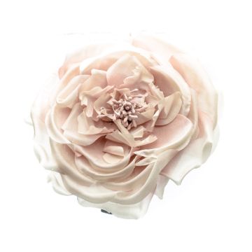 Oyster Shell Silk Rose