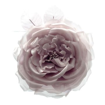 Pale Stock Silk Rose