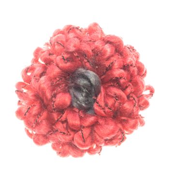 Penstemon Garnet Wool Flower