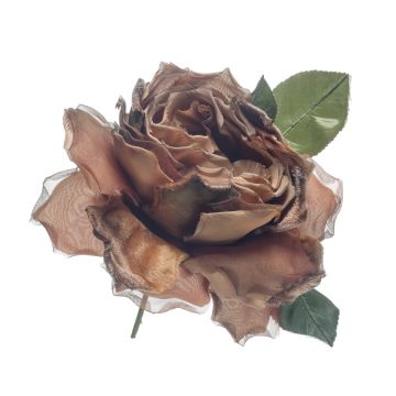 Sable Twig Blown Rose