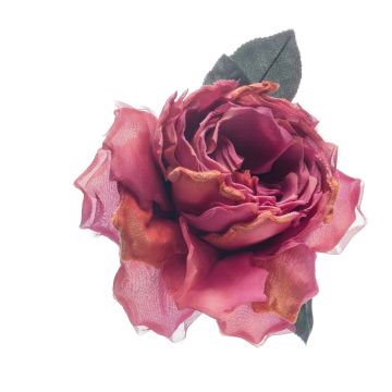 Sissinghurst Pink Blown Rose