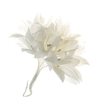 White Feather Flower