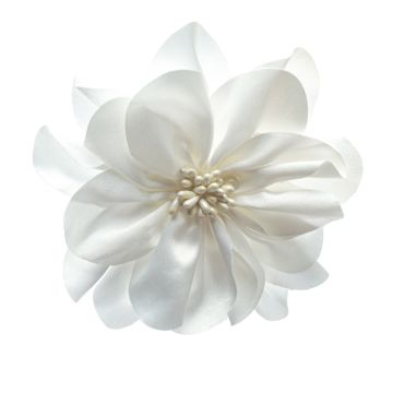 White Flower