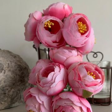 Pink Impatience Flower Bunch