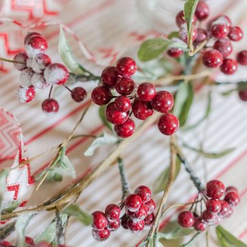 Red Berry Branch