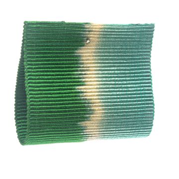 Blue Grass Ombre Grosgrain Ribbon