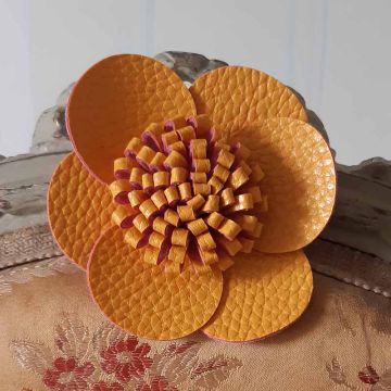 Crocus Stamen Flower on Clip