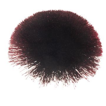 Dark Amaryllis Pom Shoe Clip