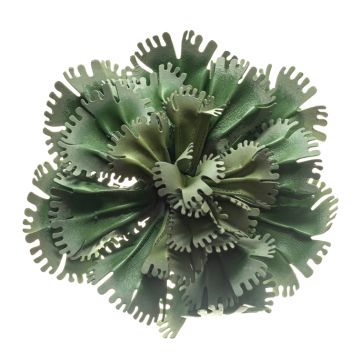 Hellebore Green Hand Painted Leather Frilly Poppy Bloom