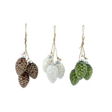 Squashed Gooseberry Fir Cone