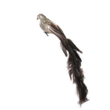 Champagne Glitter Bird with Brown Tail