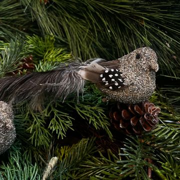 Gold Gilter Bird with Ostrich Tail