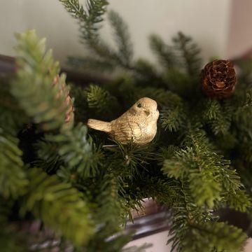 Gold Bird