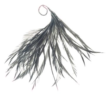 Grey Squirrel Feather Mount