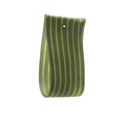 Leaf Green Striped Velvet
