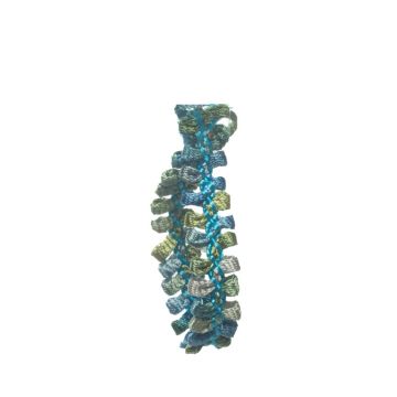 Lobelia Ribbon Braid