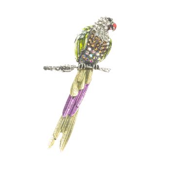 Macaw Parrot Brooch