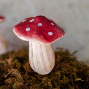 Red Mushroom Pick