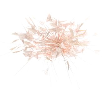 Pale Peonie Feather Mount