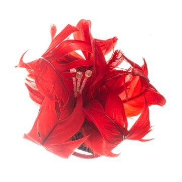 Peonie Red Flower