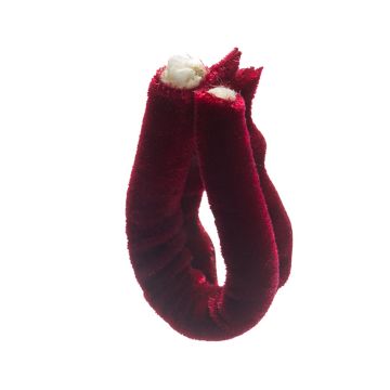 Peonie Red Giant Velvet Piping