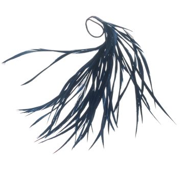 Pitch Blue Feather Mount