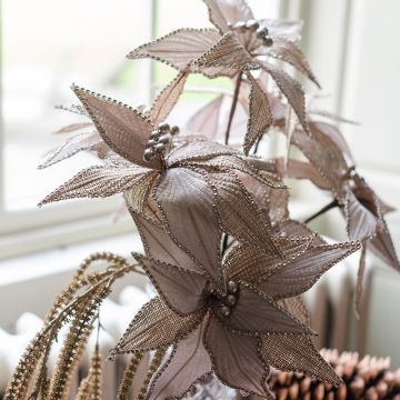 Gold Poinsettia Stem