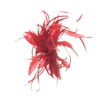 Post Box Red Feather Mount