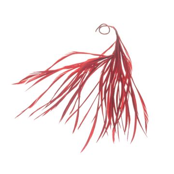 Post Box Red Feather Mount