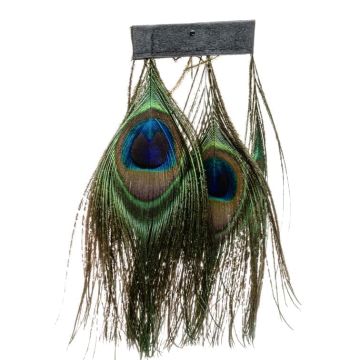 Peacock Peacock Fringe