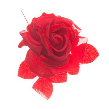 Ruby Slippers Rose