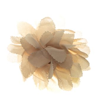 Shell Flower on Clip