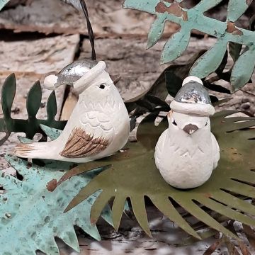 Silver Bird
