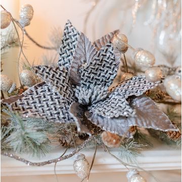 Grey Poinsettia