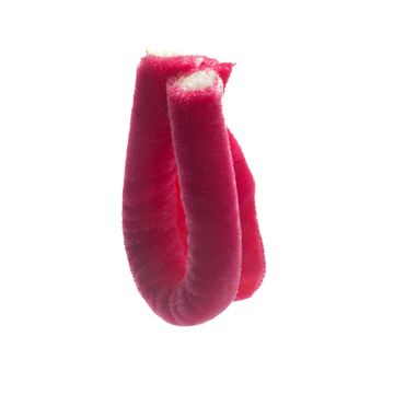 Sissinghurst Pink Giant Velvet Piping