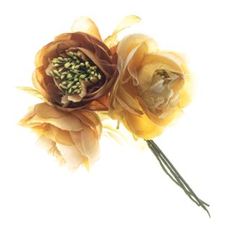 Stirred Coffee Rose Bunch