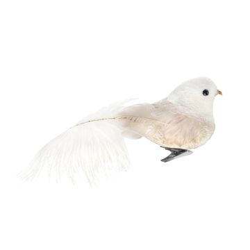 White / Cream Feather Bird