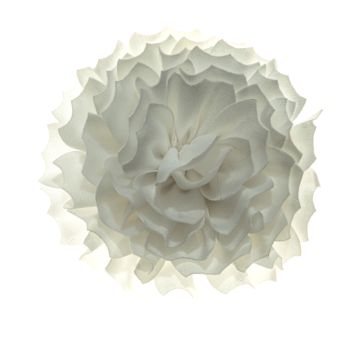 White Peonie with Pin