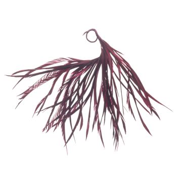 Wine Feather Mount