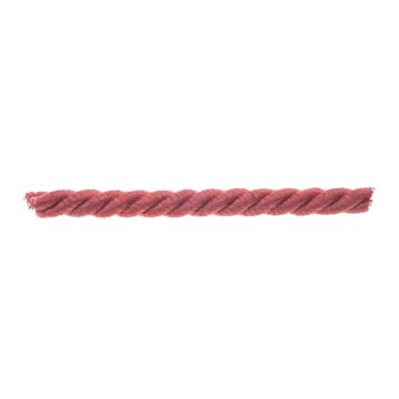 Raspberry Bin End Cord