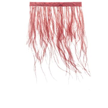 Astilbe Coral Ostrich Fringe 120mm