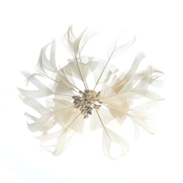 Oyster Shell Feather Flower