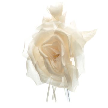 Clotted Cream Rose