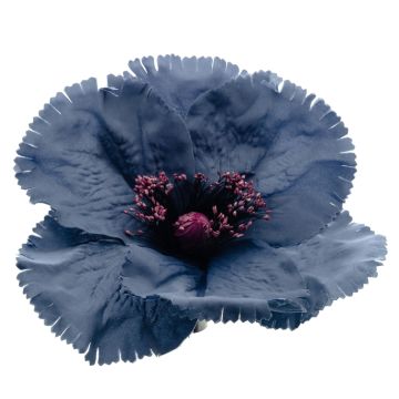 Hyacinth Blue Flower
